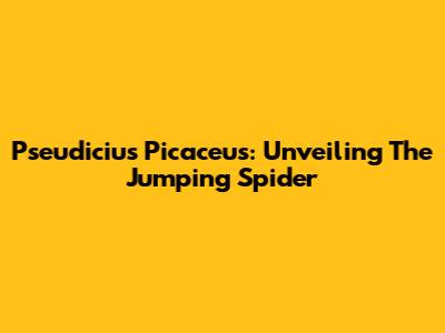 Pseudicius Picaceus: Unveiling The Jumping Spider