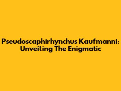 Pseudoscaphirhynchus Kaufmanni: Unveiling The Enigmatic