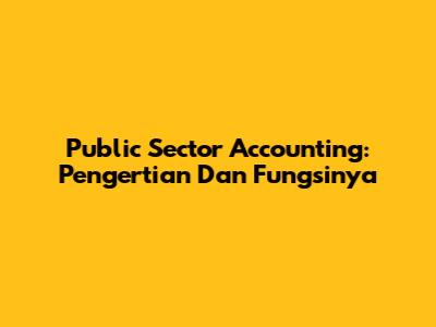 Public Sector Accounting: Pengertian Dan Fungsinya