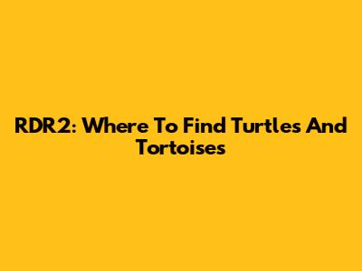 RDR2: Where To Find Turtles And Tortoises