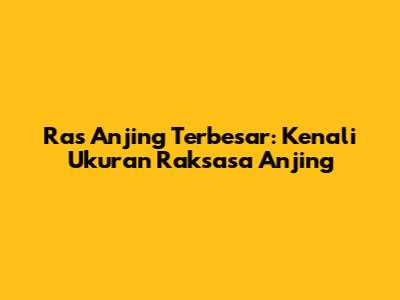 Ras Anjing Terbesar: Kenali Ukuran Raksasa Anjing