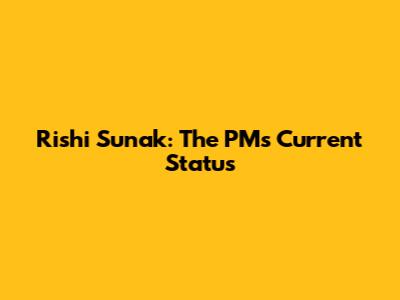 Rishi Sunak: The PM's Current Status