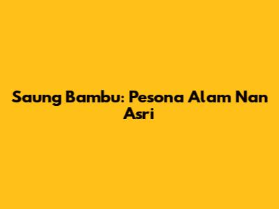 Saung Bambu: Pesona Alam Nan Asri