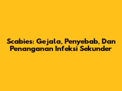 Scabies: Gejala, Penyebab, Dan Penanganan Infeksi Sekunder