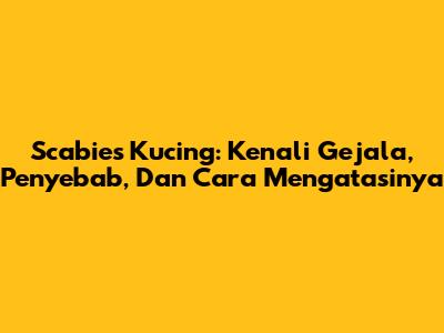 Scabies Kucing: Kenali Gejala, Penyebab, Dan Cara Mengatasinya
