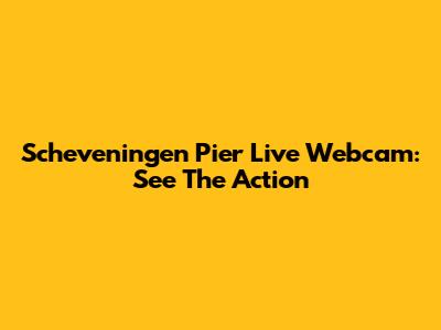 Scheveningen Pier Live Webcam: See The Action