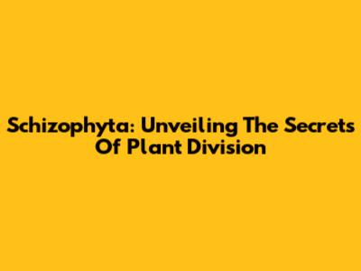 Schizophyta: Unveiling The Secrets Of Plant Division