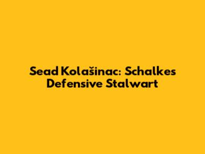 Sead Kolašinac: Schalke's Defensive Stalwart