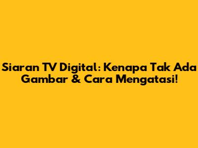 Siaran TV Digital: Kenapa Tak Ada Gambar & Cara Mengatasi!