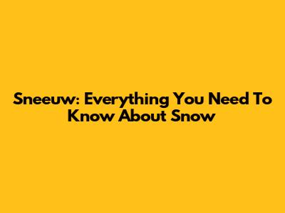 Sneeuw: Everything You Need To Know About Snow