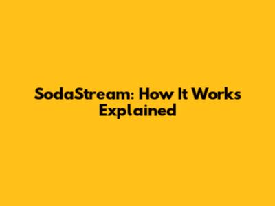 SodaStream: How It Works Explained
