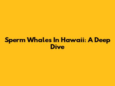 Sperm Whales In Hawaii: A Deep Dive