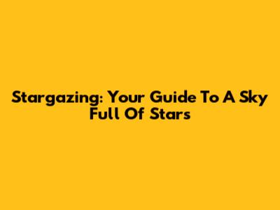 Stargazing: Your Guide To A Sky Full Of Stars