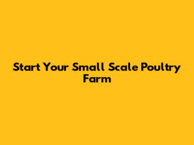 Start Your Small Scale Poultry Farm
