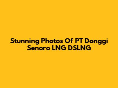 Stunning Photos Of PT Donggi Senoro LNG DSLNG