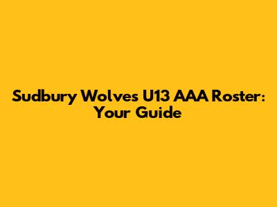 Sudbury Wolves U13 AAA Roster: Your Guide