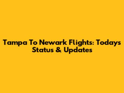 Tampa To Newark Flights: Today's Status & Updates
