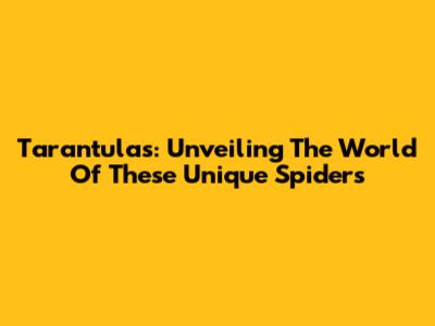 Tarantulas: Unveiling The World Of These Unique Spiders