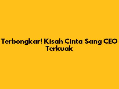 Terbongkar! Kisah Cinta Sang CEO Terkuak