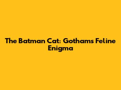 The Batman Cat: Gotham's Feline Enigma