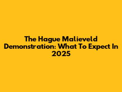 The Hague Malieveld Demonstration: What To Expect In 2025