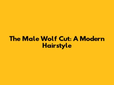 The Male Wolf Cut: A Modern Hairstyle
