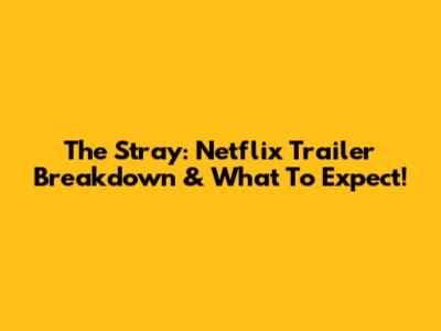 The Stray: Netflix Trailer Breakdown & What To Expect!