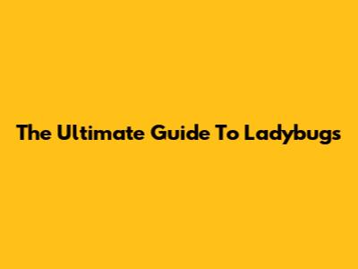 The Ultimate Guide To Ladybugs