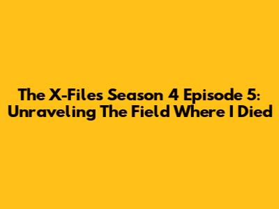 The X-Files Season 4 Episode 5: Unraveling 'The Field Where I Died'