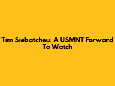 Tim Siebatcheu: A USMNT Forward To Watch