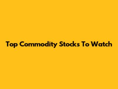 Top Commodity Stocks To Watch