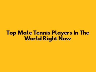 Top Male Tennis Players In The World Right Now