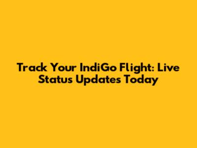 Track Your IndiGo Flight: Live Status Updates Today