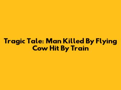Tragic Tale: Man Killed By Flying Cow Hit By Train