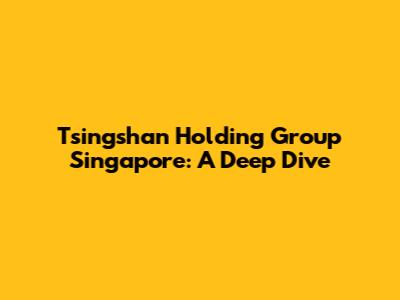 Tsingshan Holding Group Singapore: A Deep Dive