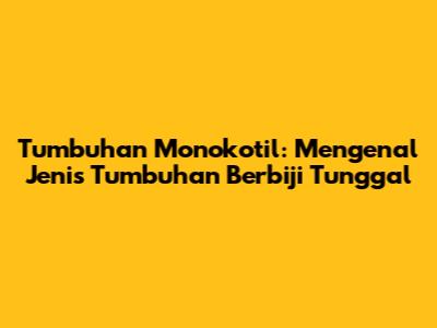 Tumbuhan Monokotil: Mengenal Jenis Tumbuhan Berbiji Tunggal