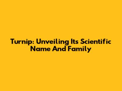 Turnip: Unveiling Its Scientific Name And Family
