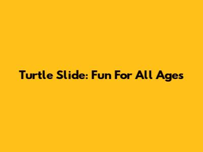 Turtle Slide: Fun For All Ages