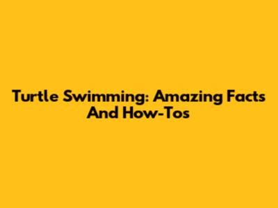 Turtle Swimming: Amazing Facts And How-Tos