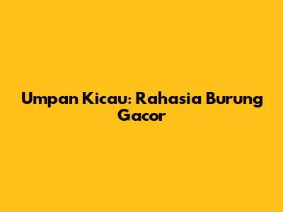 Umpan Kicau: Rahasia Burung Gacor