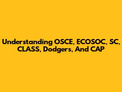 Understanding OSCE, ECOSOC, SC, CLASS, Dodgers, And CAP