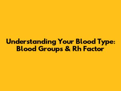 Understanding Your Blood Type: Blood Groups & Rh Factor