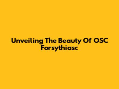 Unveiling The Beauty Of OSC Forsythiasc