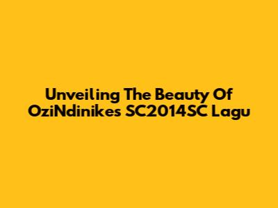 Unveiling The Beauty Of OziNdinike's SC2014SC Lagu