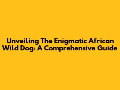 Unveiling The Enigmatic African Wild Dog: A Comprehensive Guide