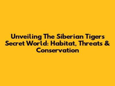 Unveiling The Siberian Tiger's Secret World: Habitat, Threats & Conservation