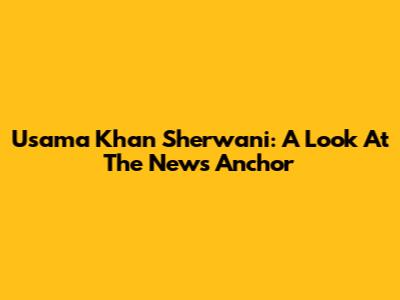 Usama Khan Sherwani: A Look At The News Anchor