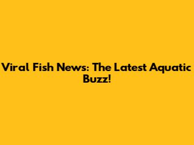Viral Fish News: The Latest Aquatic Buzz!