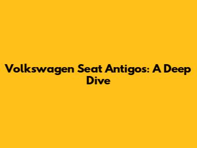 Volkswagen Seat Antigos: A Deep Dive