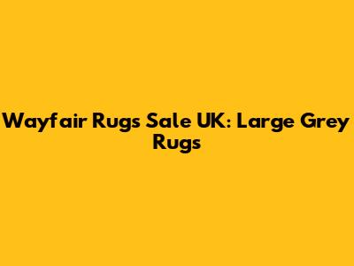 Wayfair Rugs Sale UK: Large Grey Rugs